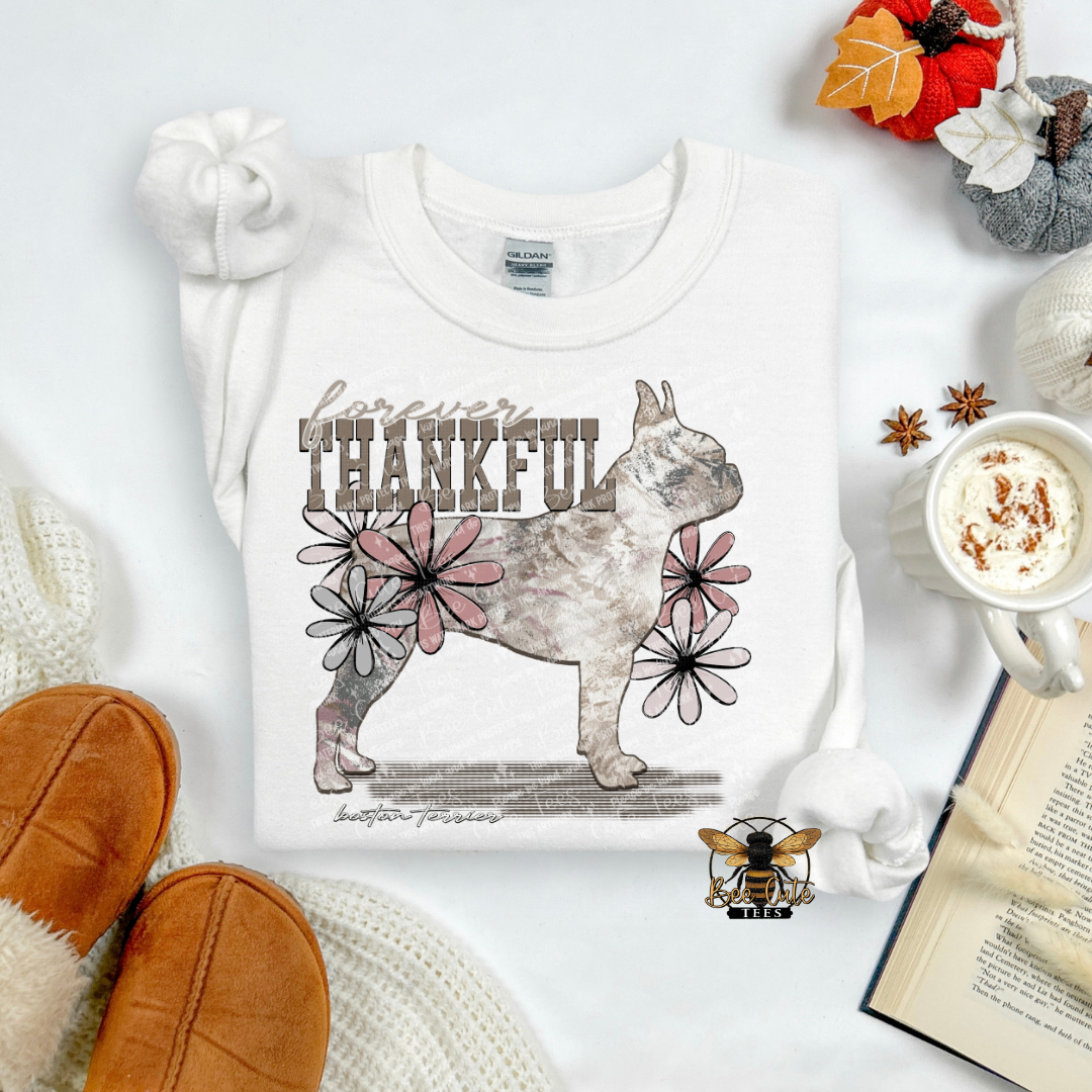 Forever Thankful Boston Terrier