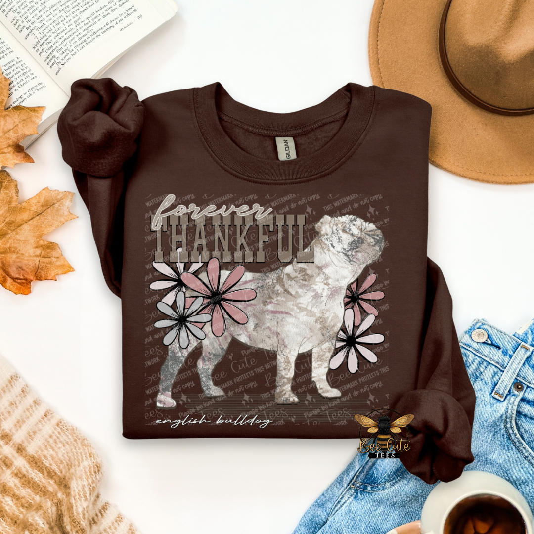 Forever Thankful English Bulldog
