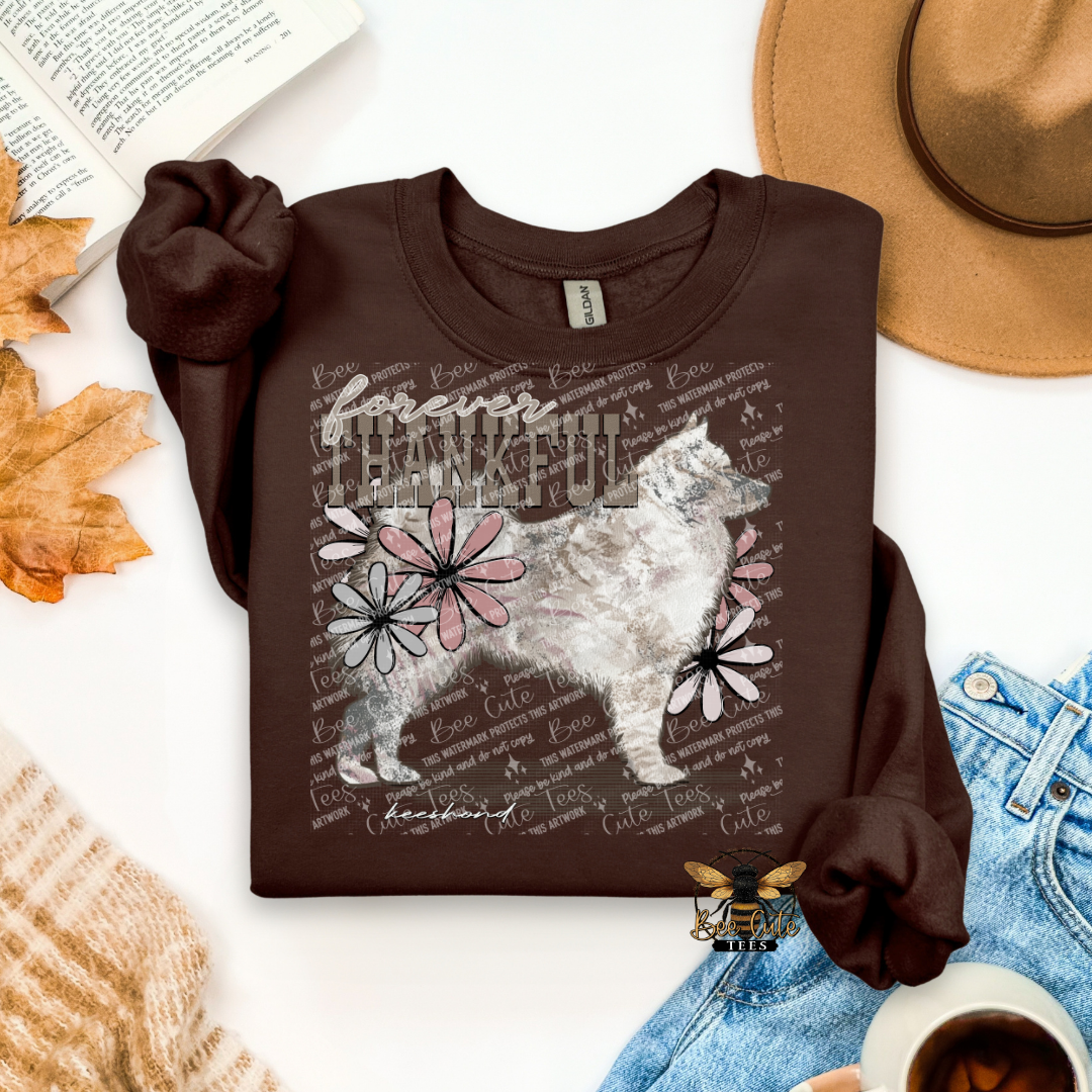 Forever Thankful Keeshond