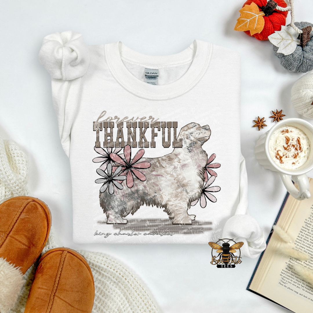 Forever Thankful King Charles Cavalier
