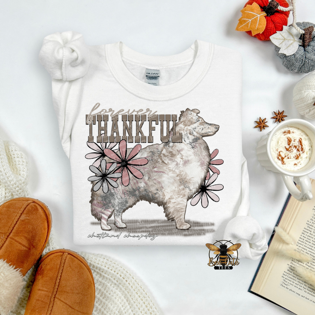 Forever Thankful Shetland Sheepdog