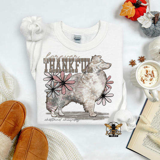 Forever Thankful Shetland Sheepdog