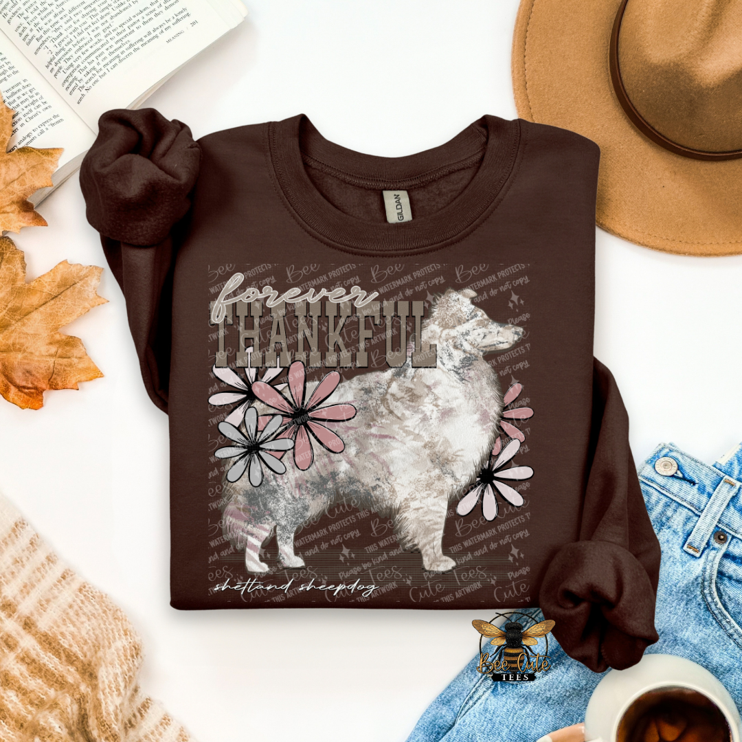 Forever Thankful Shetland Sheepdog