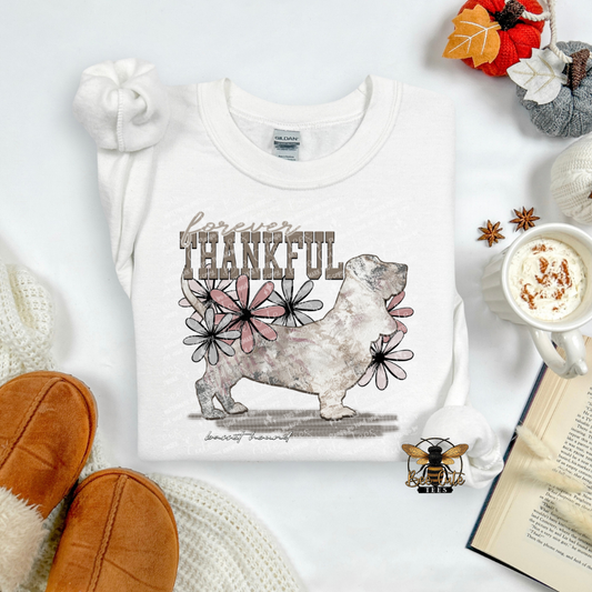 Forever Thankful Basset Hound