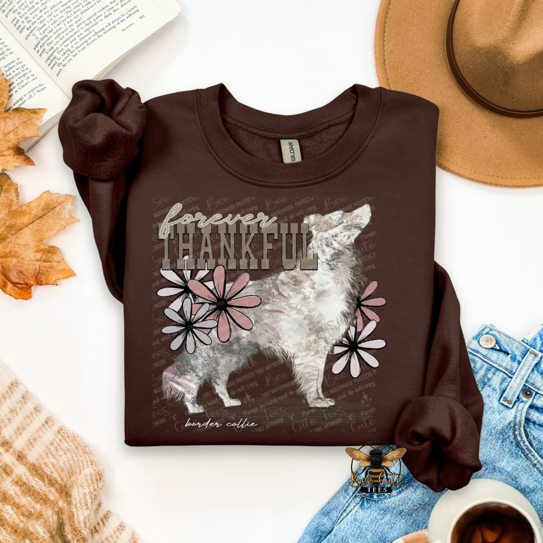 Forever Thankful Border Collie