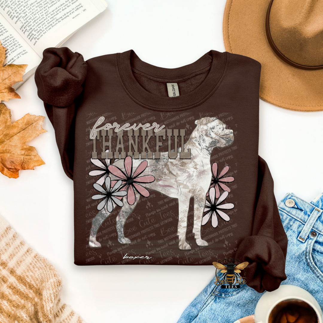 Forever Thankful Boxer