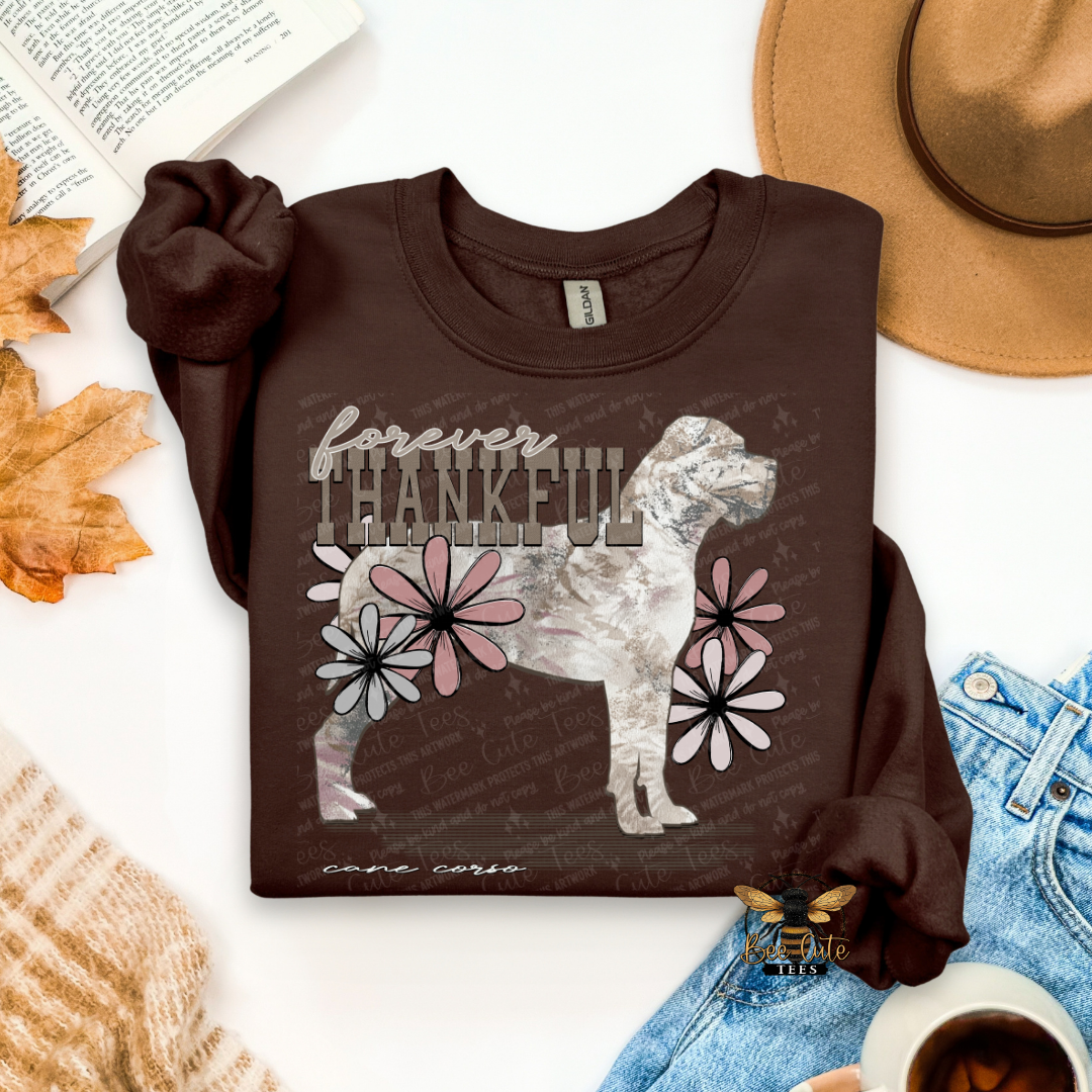 Forever Thankful Cane Corso