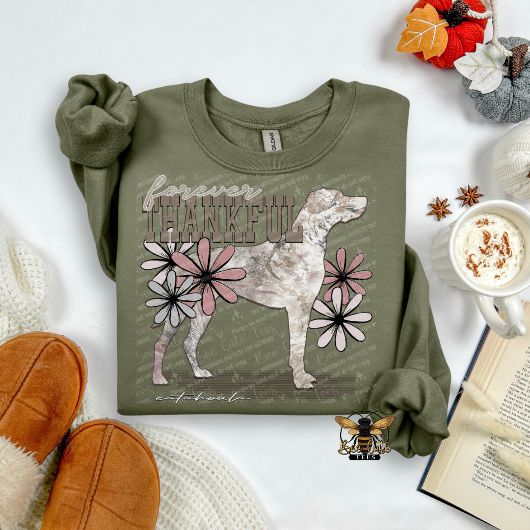 Forever Thankful Catahoula