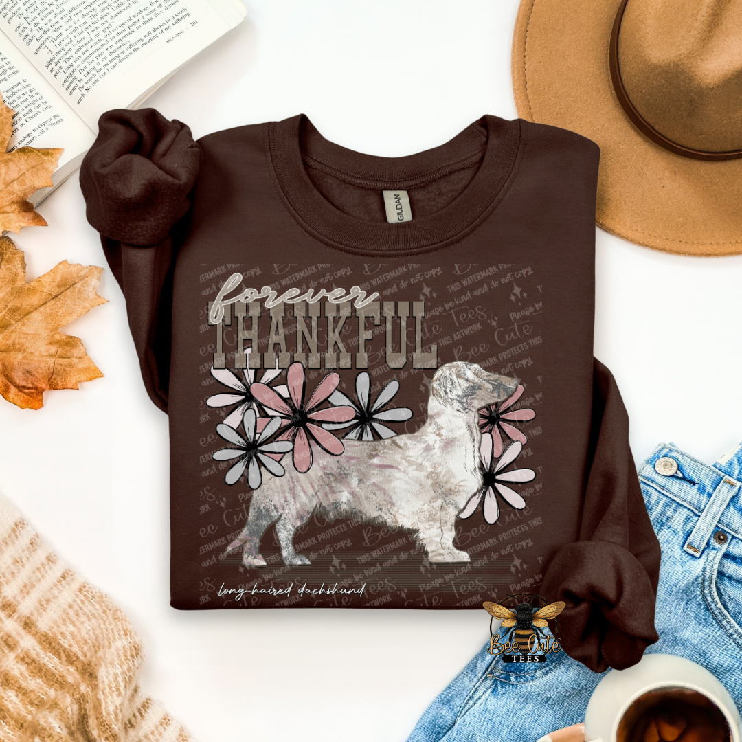 Forever Thankful Long Haired Dachshund