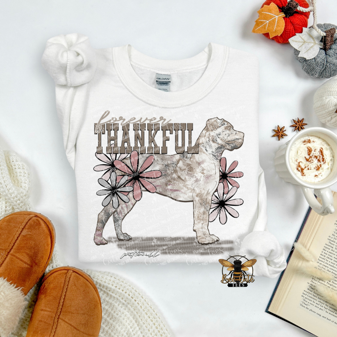 Forever Thankful Pitbull