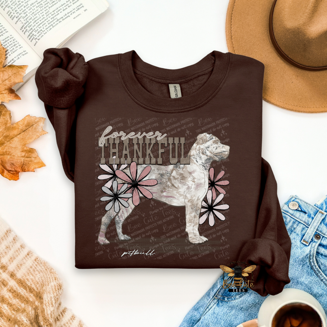 Forever Thankful Pitbull