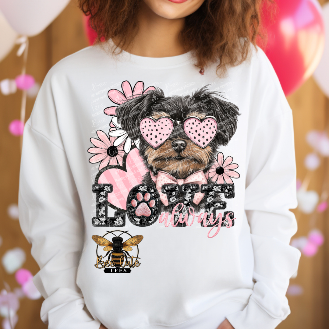 Black and Brown Maltese Love Always