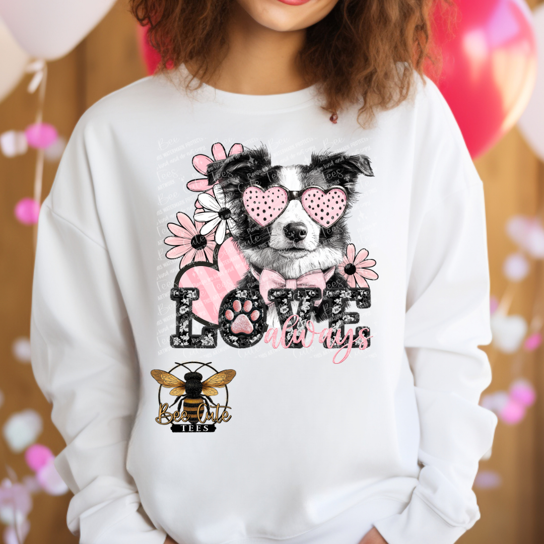 Border Collie Love Always