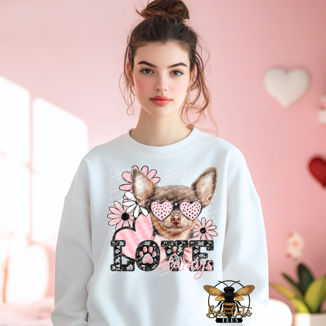 Chihuahua Love Always