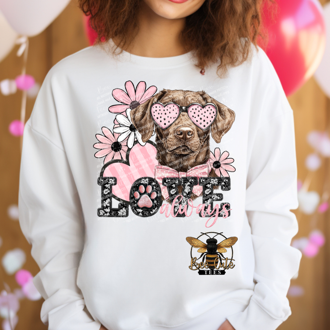 Chocolate Labrador Love Always