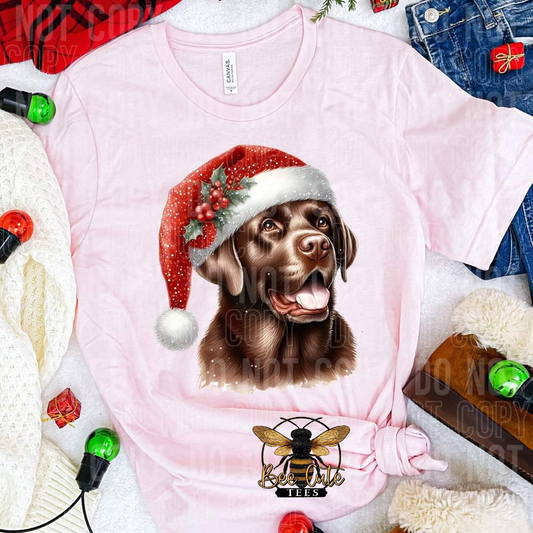 Christmas Chocolate Lab