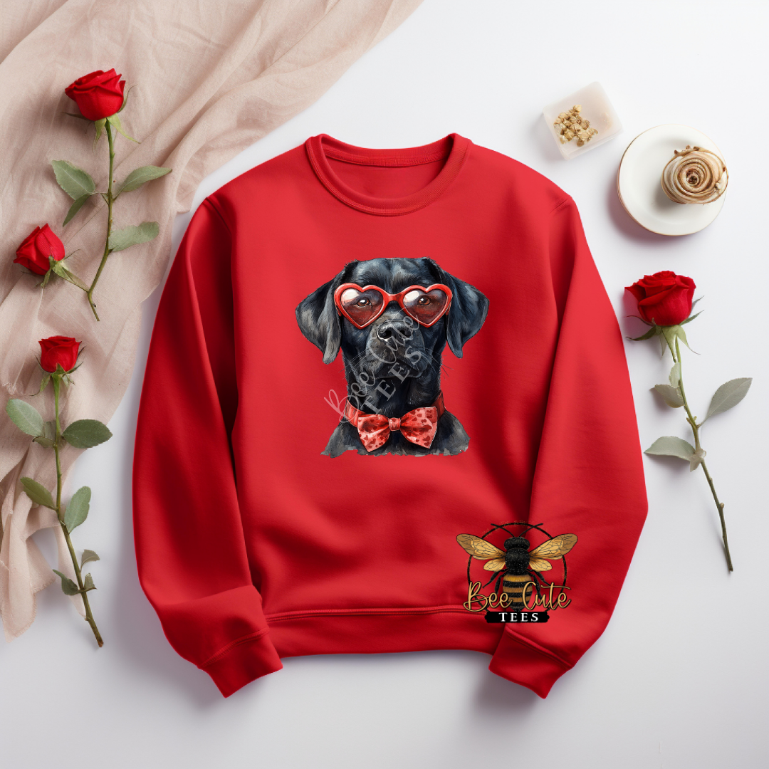 Clear Sunnies Black Lab