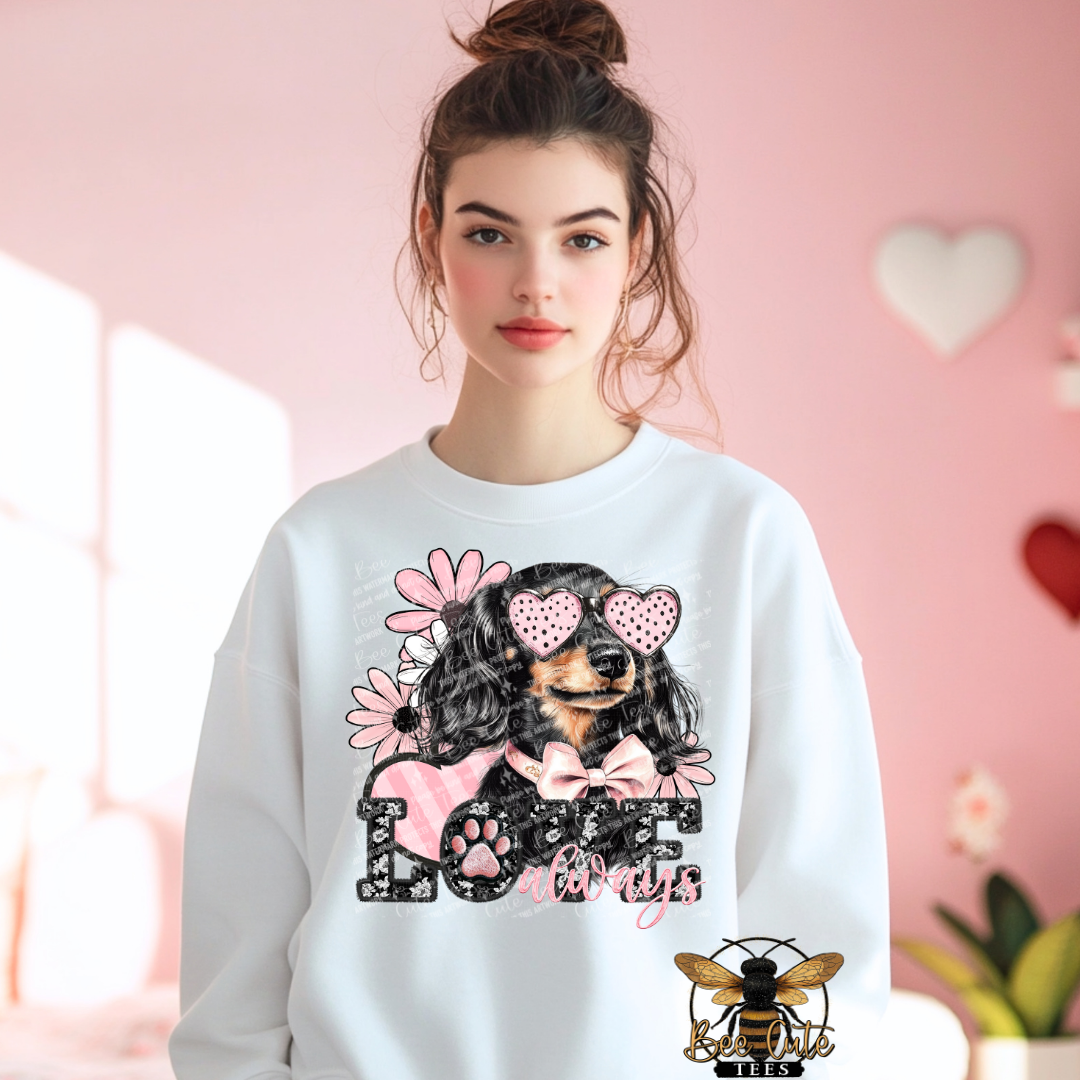 Long Haired Dachshund Love Always