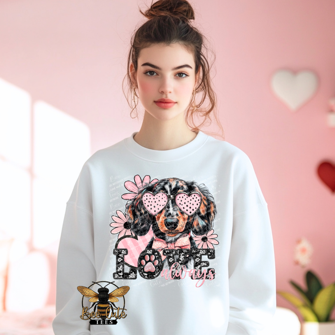 Piebald Long Haired Dachshund Love Always