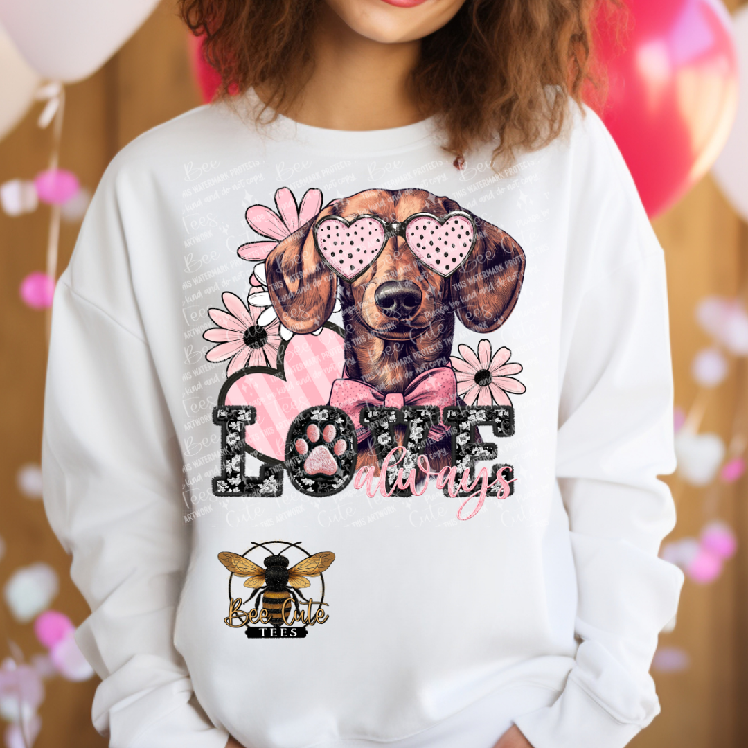 Red and Brown Dachshund Love Always