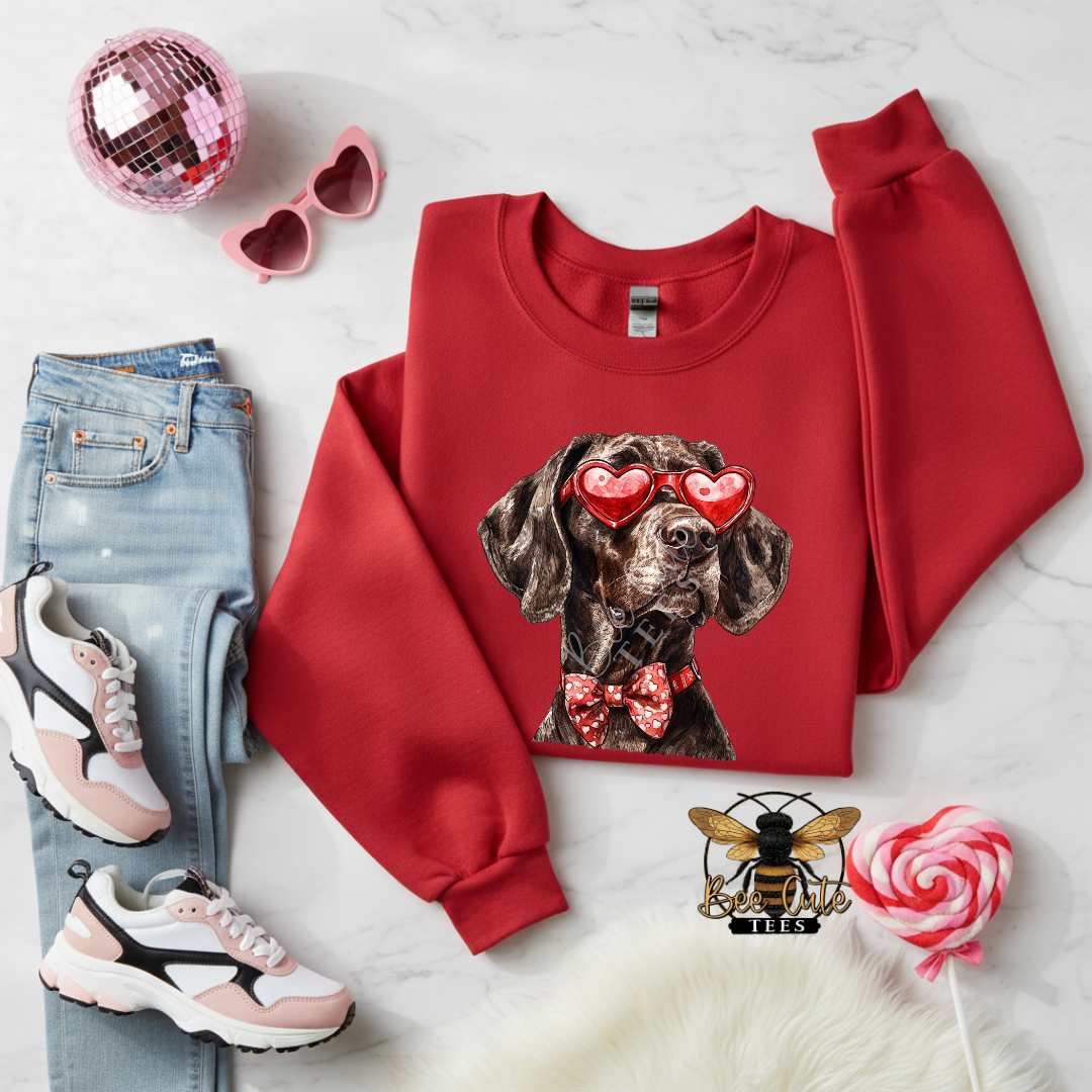 Red Sunnies German Shorthair Pointer