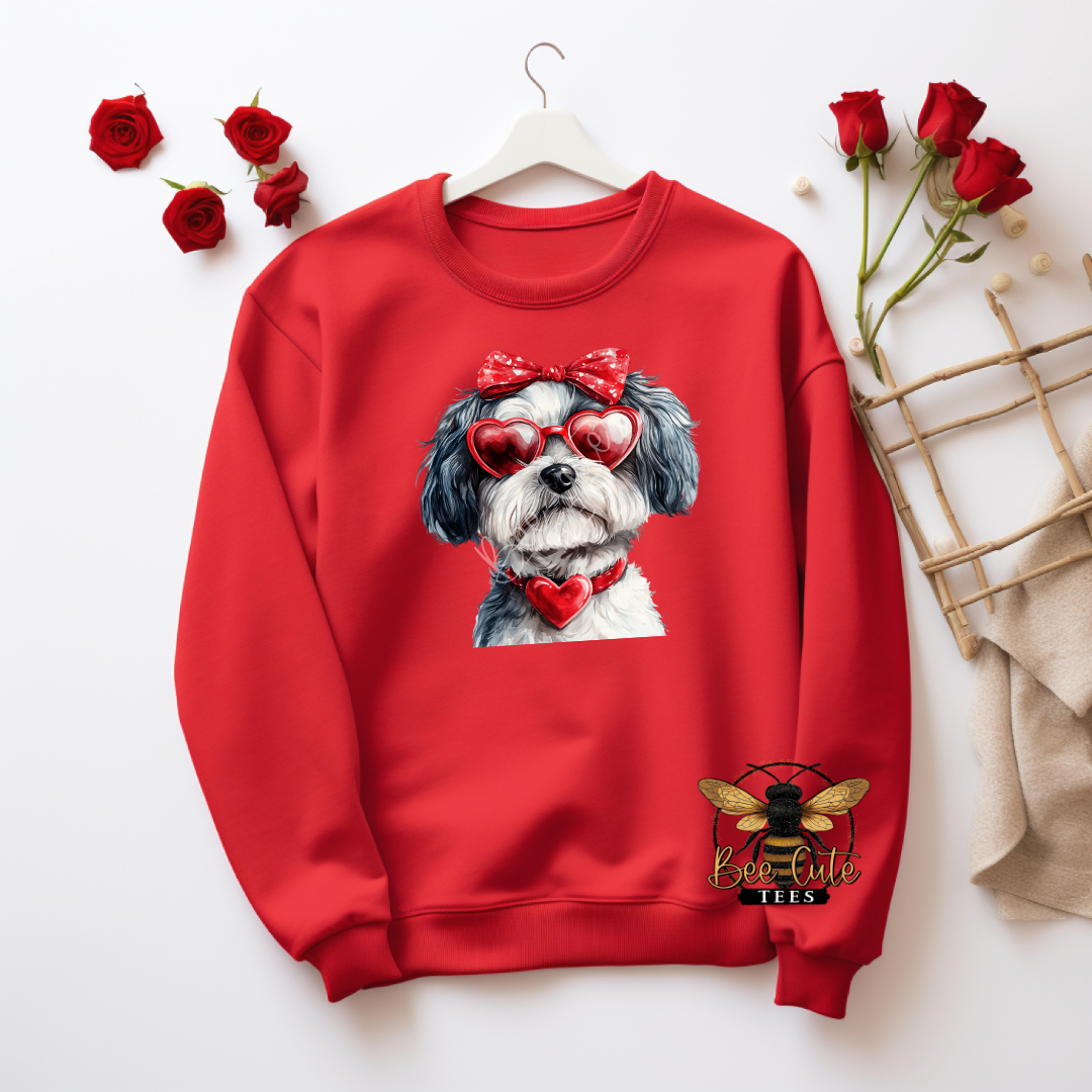 Red Sunnies Havanese