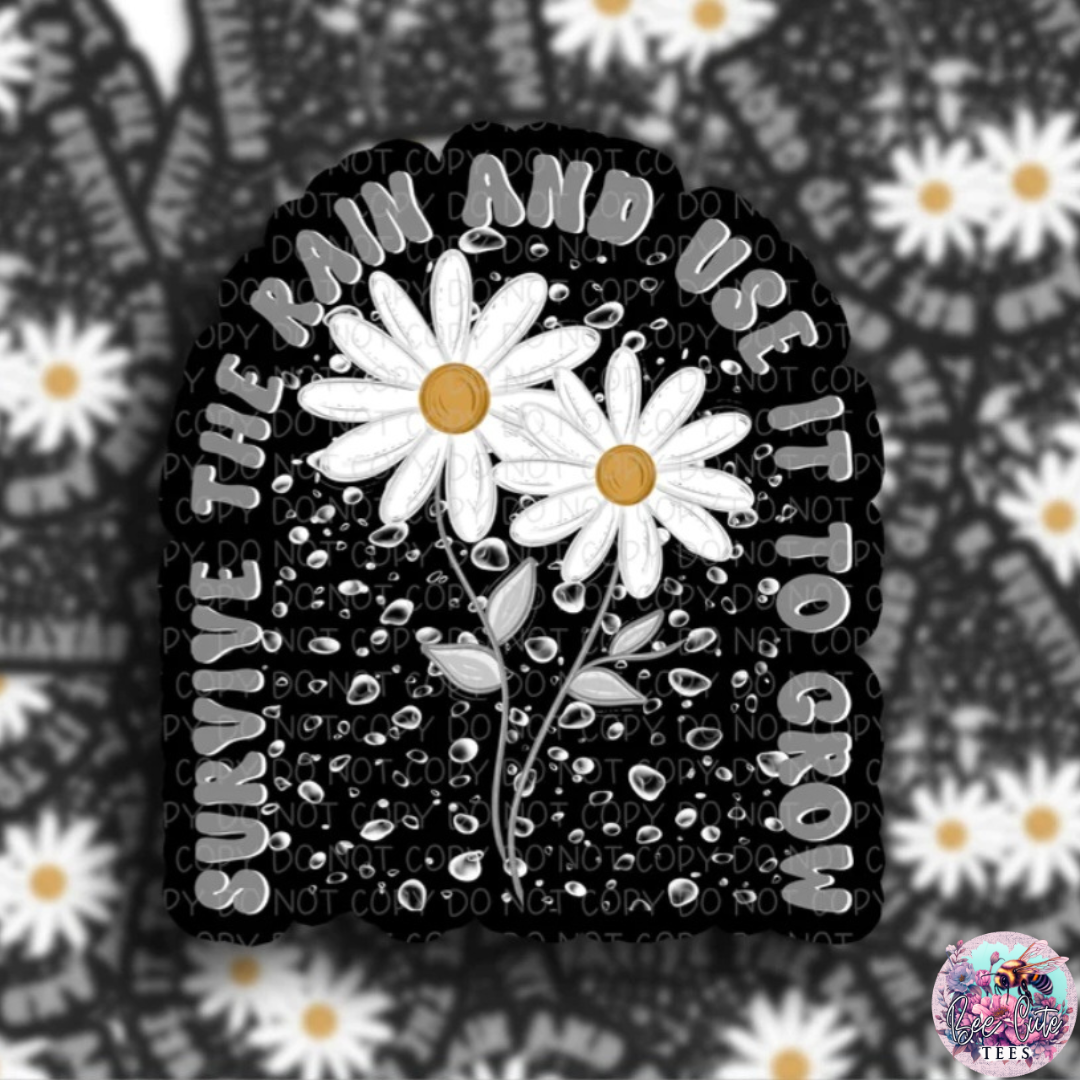 Vinyl Stickers