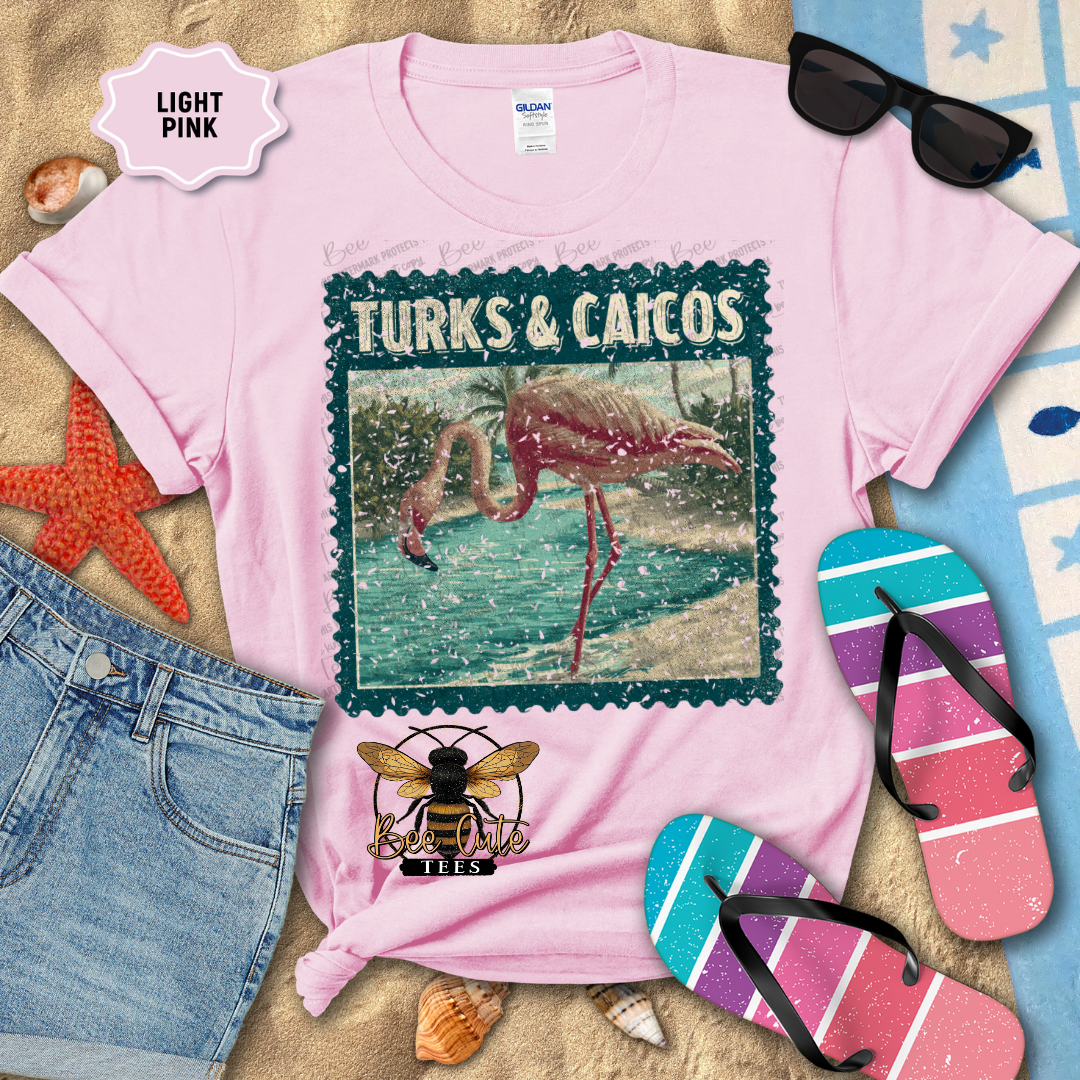 Vintage Turks & Caicos Stamp