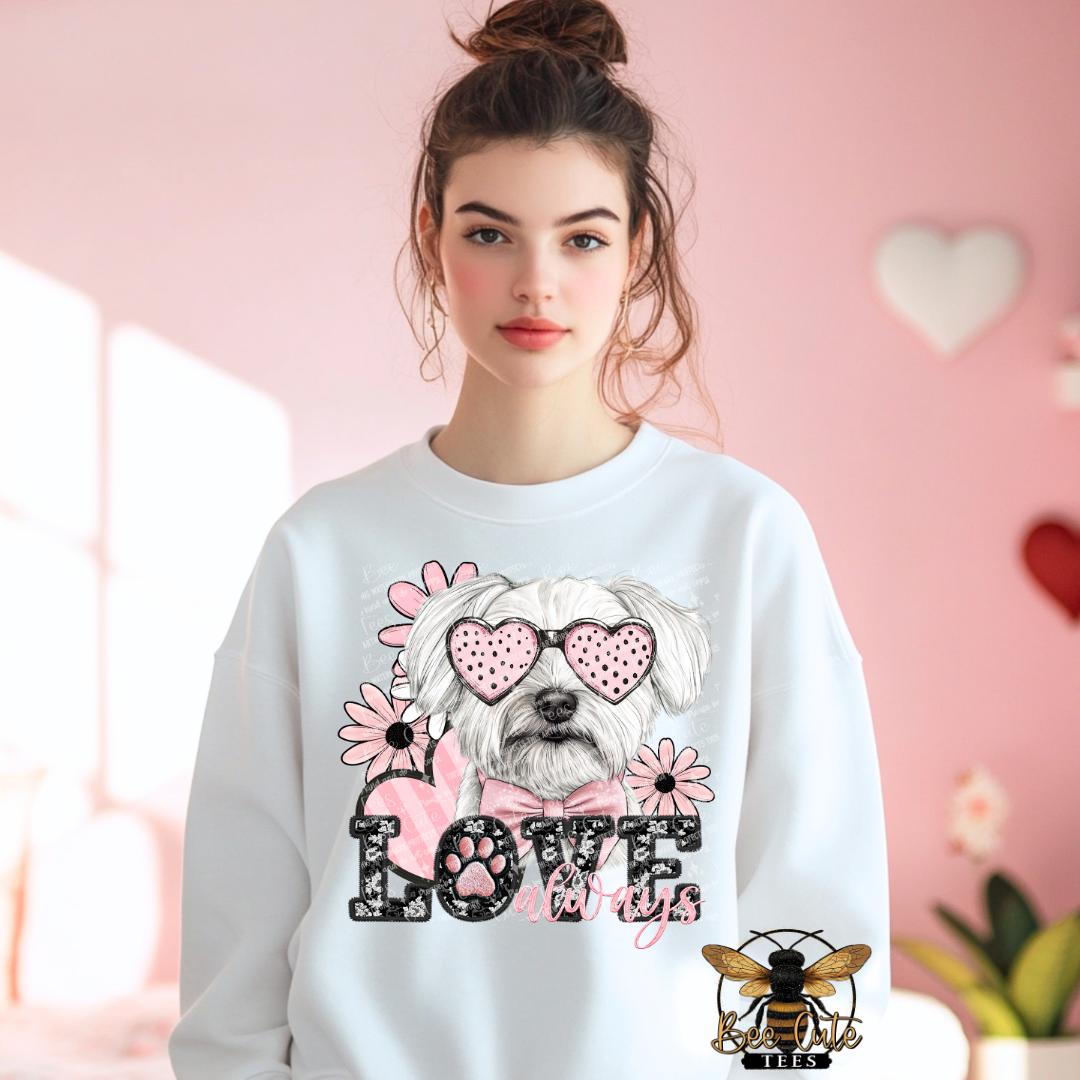 White Maltese Love Always