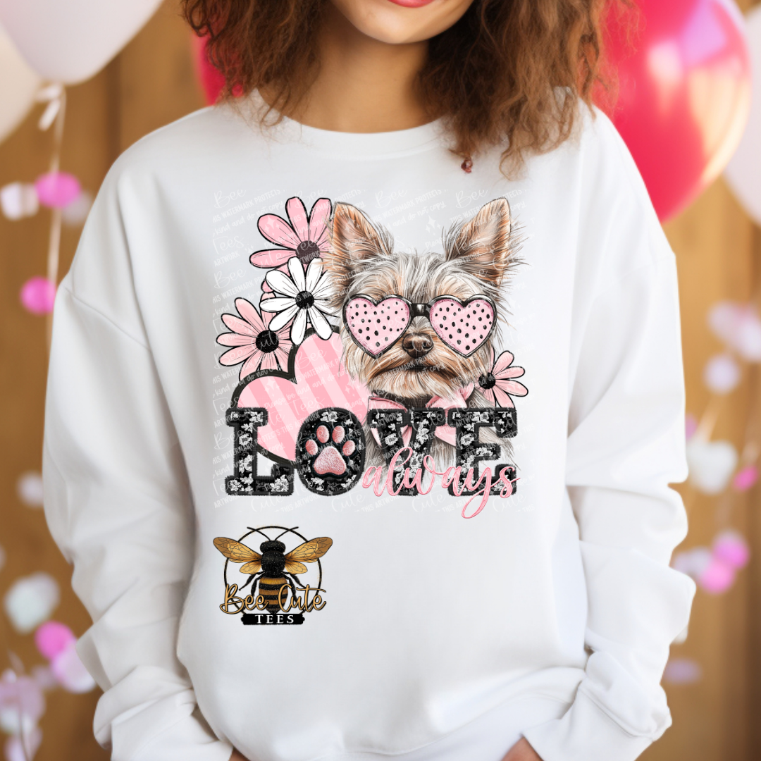 Yorkie Love Always
