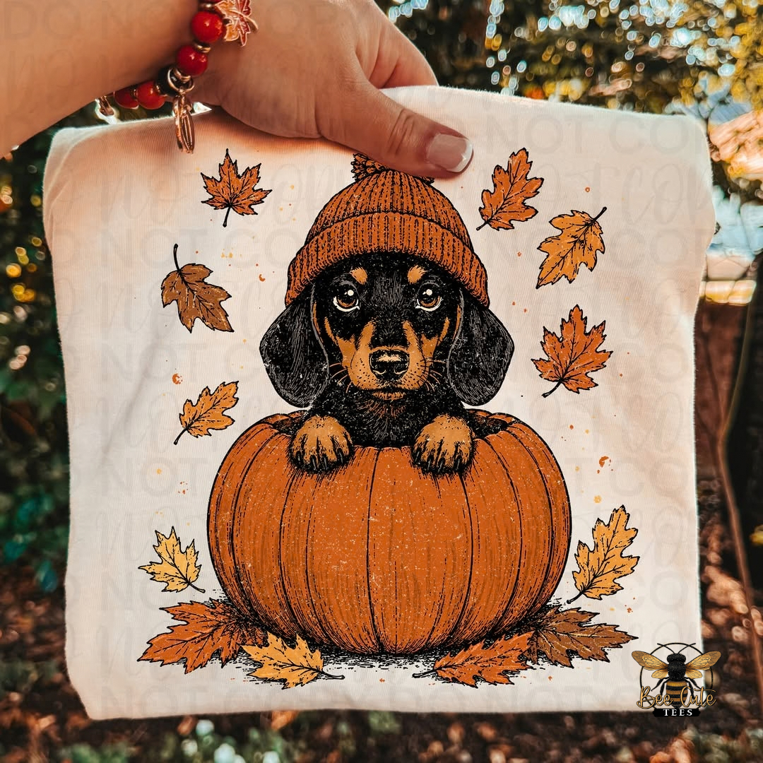 A hand holds a white fabric square featuring a printed illustration of a black and tan dachshund wearing an orange knit beanie and sitting on an orange pumpkin, surrounded by scattered autumn leaves. The background is a blurred outdoor scene with warm sunlight and foliage.