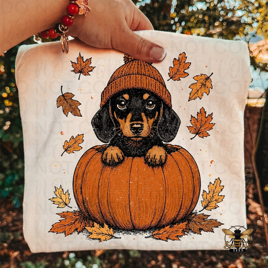 A hand holds a white fabric square featuring a printed illustration of a black and tan dachshund wearing an orange knit beanie and sitting on an orange pumpkin, surrounded by scattered autumn leaves. The background is a blurred outdoor scene with warm sunlight and foliage.