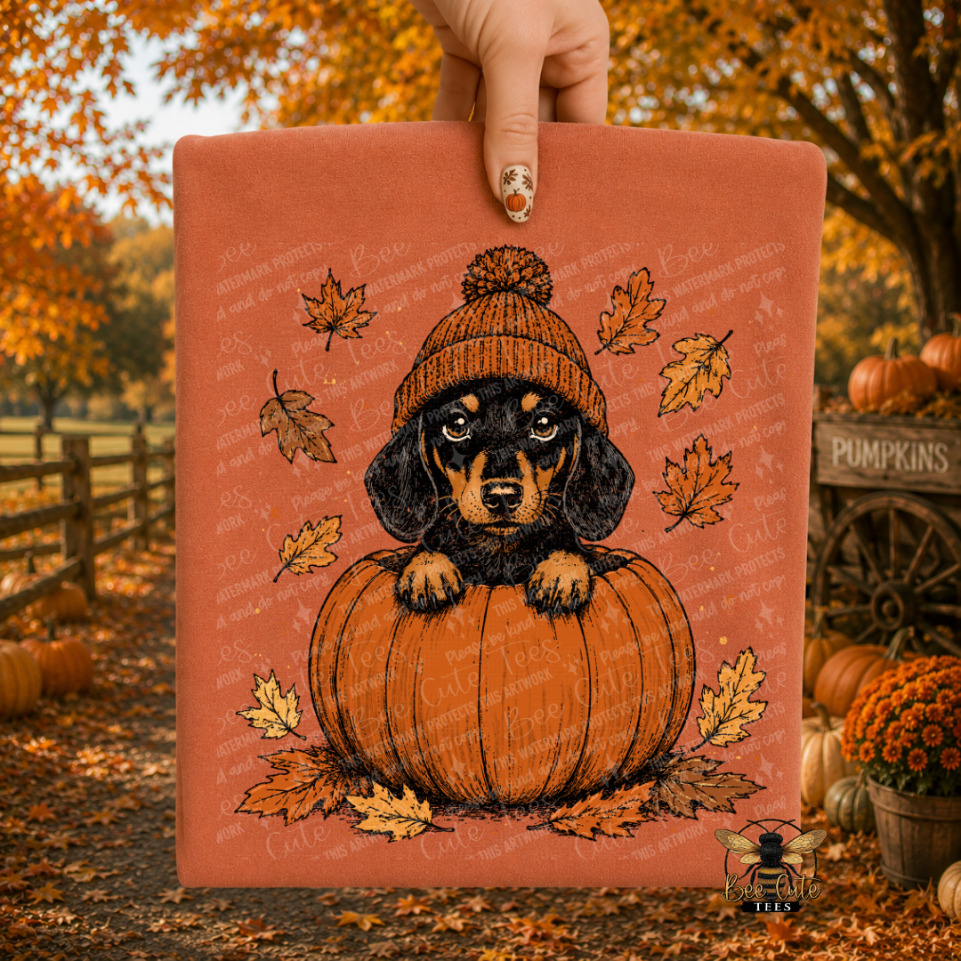 A hand holds up a folded terracotta-colored  t-shirt, featuring a graphic of a black and tan dachshund wearing an orange knit beanie and sitting on a pumpkin, surrounded by autumn leaves. The background is a blurred fall yard scene with pumpkins and golden trees.