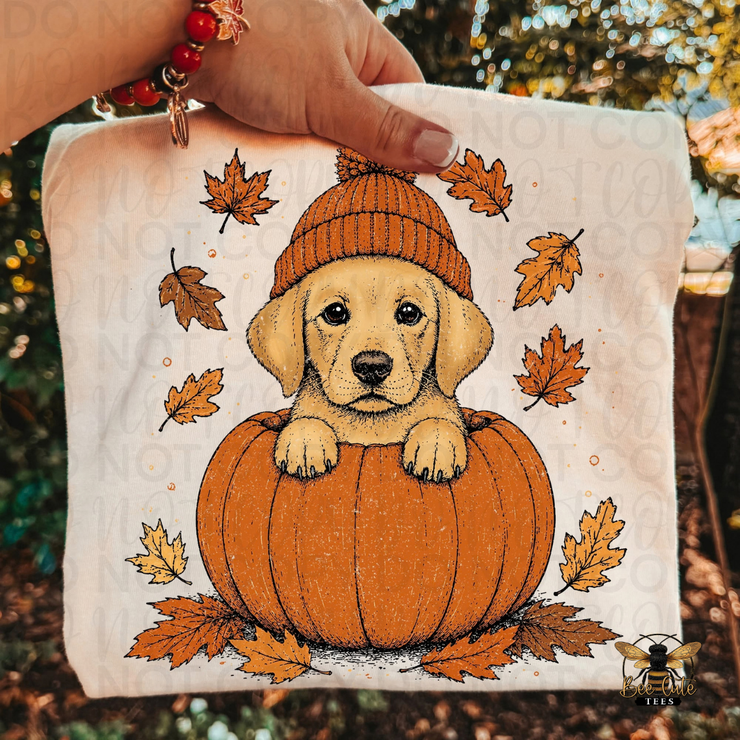 A hand holds a square beige folded t-shirt, printed with a cute illustration of a yellow Labrador puppy sitting in an orange pumpkin and wearing an orange knit hat, surrounded by scattered autumn leaves. The background is a blurred outdoor scene with warm autumn foliage.