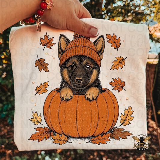 A hand holds a beige folded t-shirt featuring a printed illustration of a black and tan puppy wearing an orange knit beanie, sitting inside an orange pumpkin with scattered autumn leaves around it. The background is a blurred outdoor scene with warm sunlight and foliage.