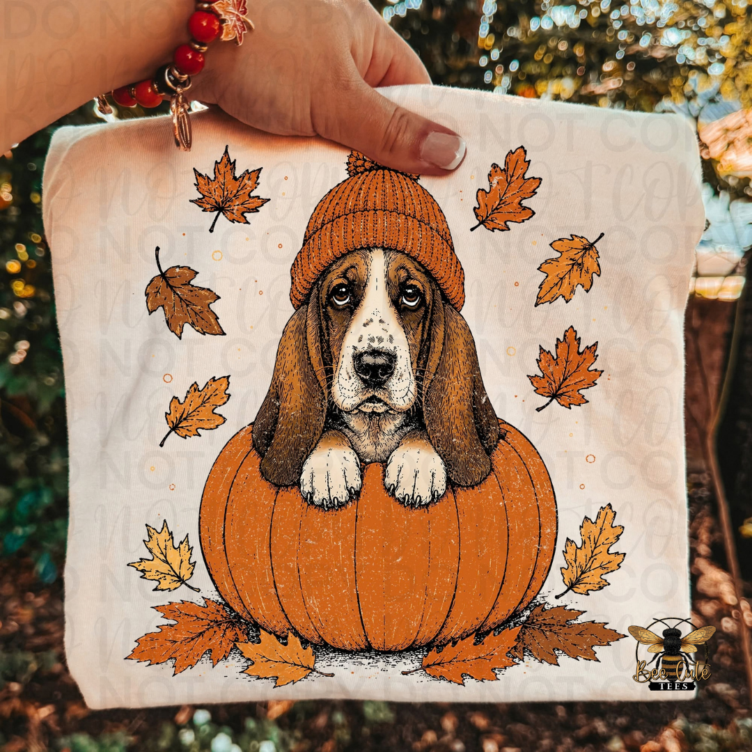 A hand holds a beige folded t-shirt, printed with an illustration of a brown and white basset hound sitting in an orange pumpkin, surrounded by autumn leaves, with a small bee logo in the bottom right corner.