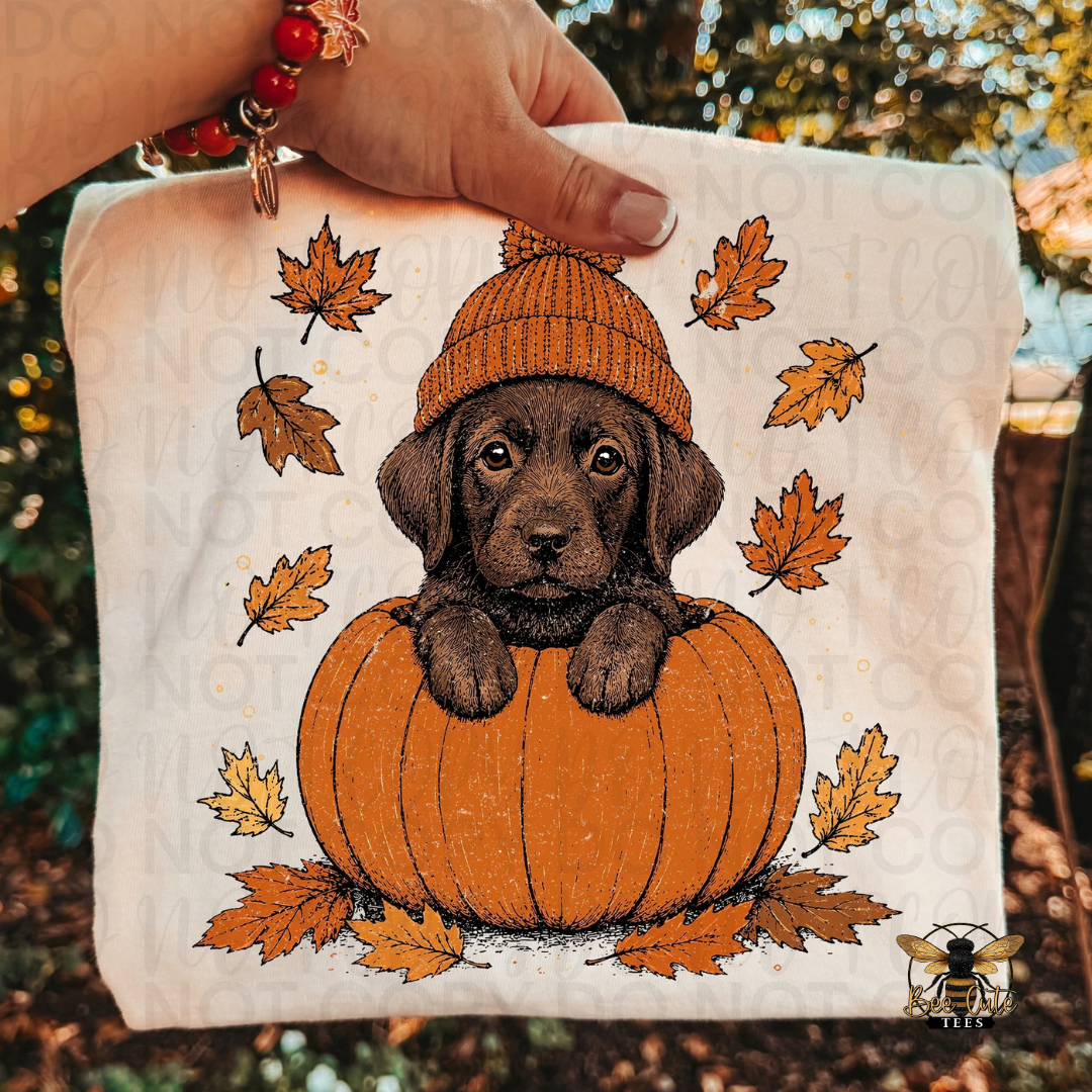 A hand holds a beige folded t-shirt, printed with an illustration of a brown puppy sitting on a pumpkin and surrounded by orange autumn leaves. The background is a blurred outdoor scene with trees .