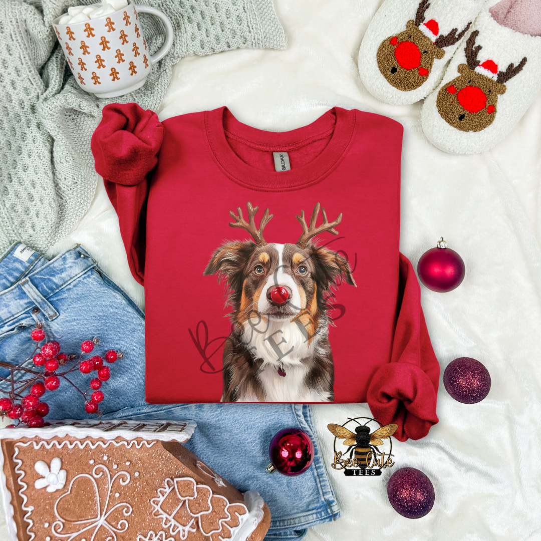 Australian Shepherd Christmas