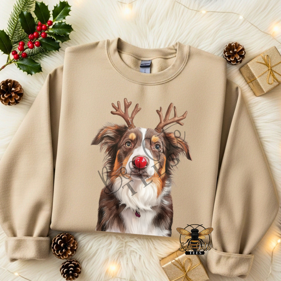 Australian Shepherd Christmas