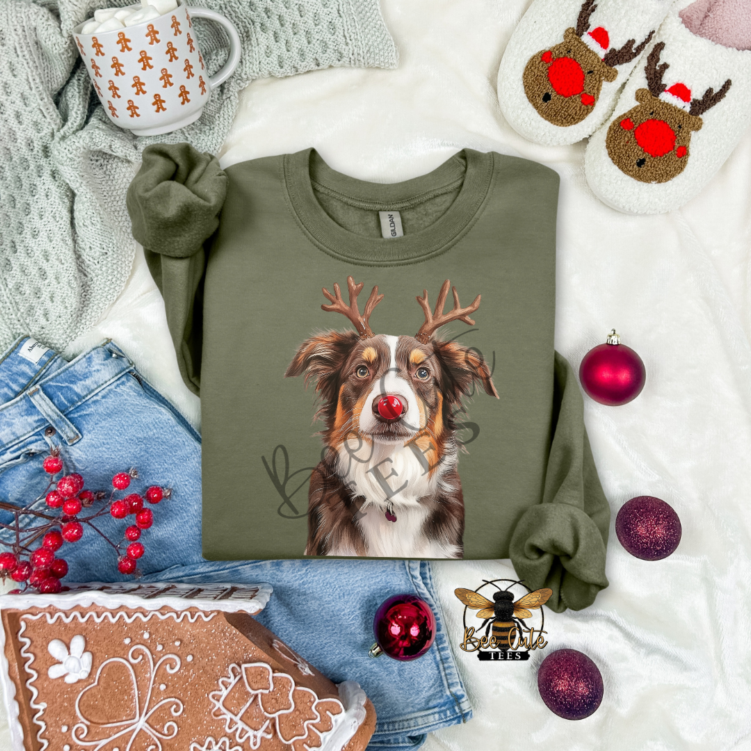 Australian Shepherd Christmas