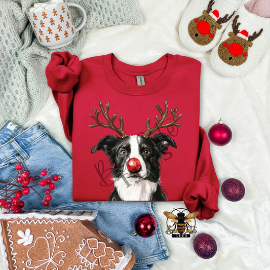 Border Collie Christmas