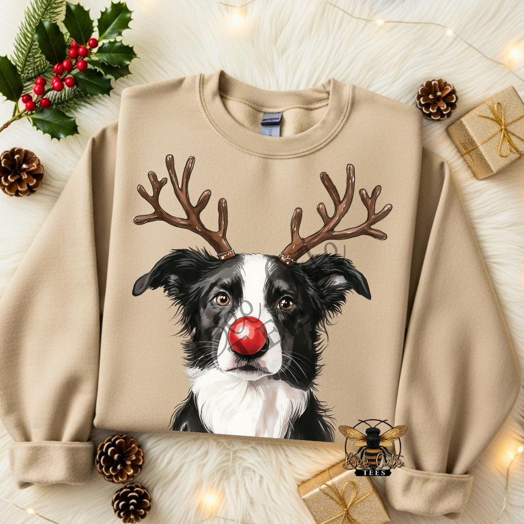 Border Collie Christmas