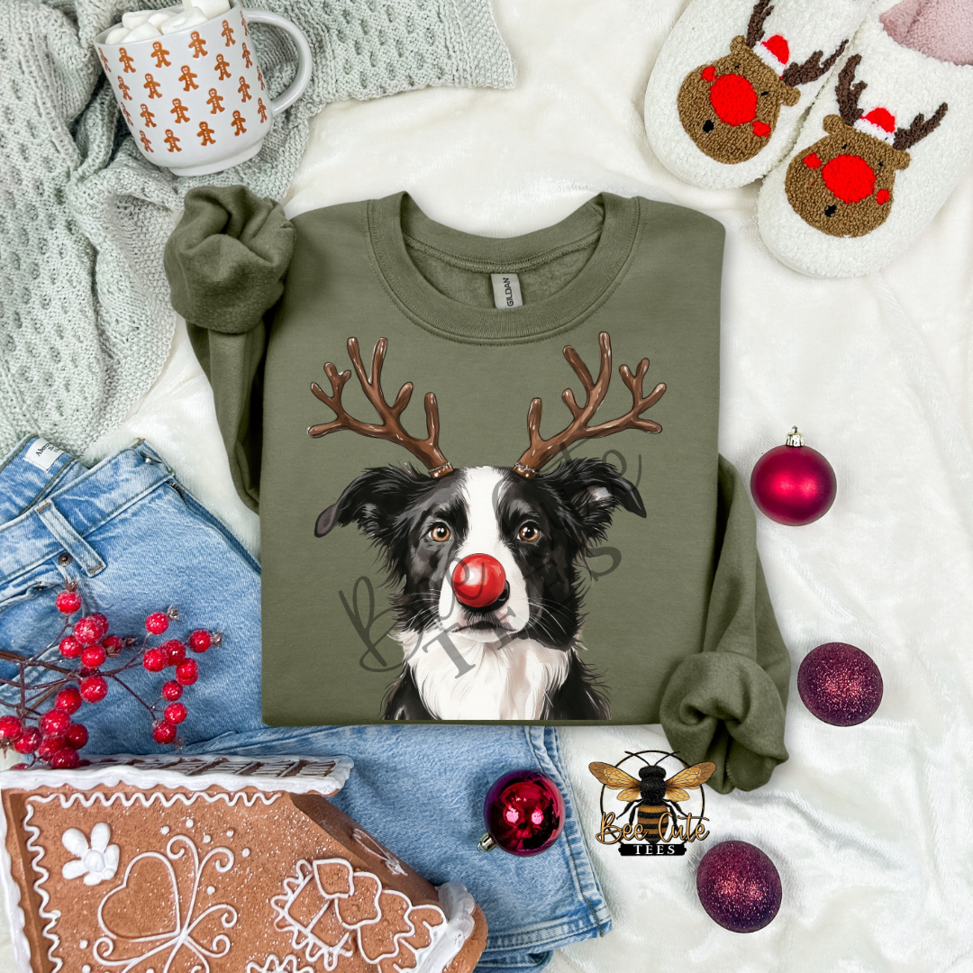 Border Collie Christmas