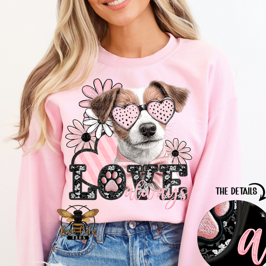 Jack Russel Terrier Love Always