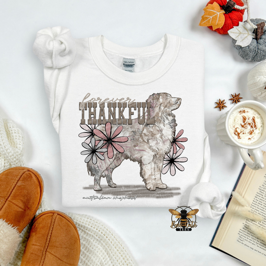 Forever Thankful Australian Shepherd