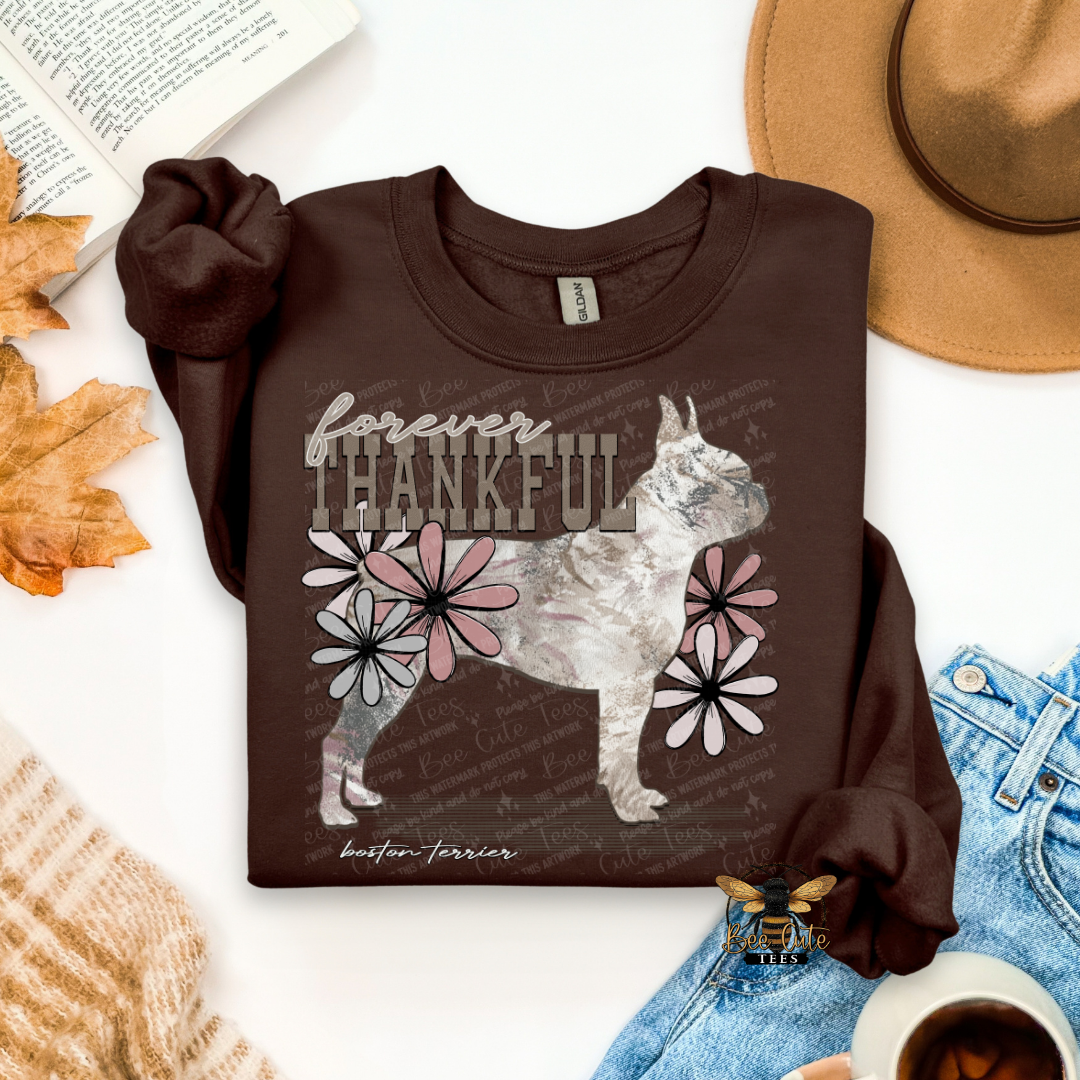 Forever Thankful Boston Terrier