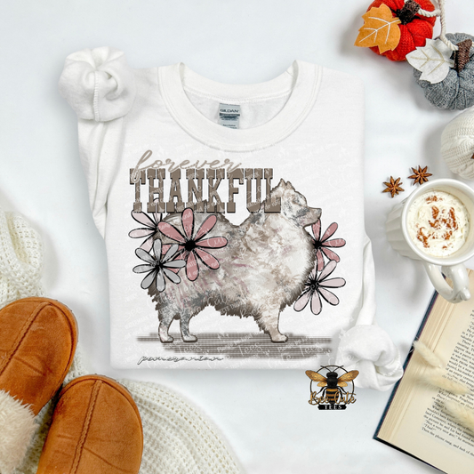 Forever Thankful Pomeranian