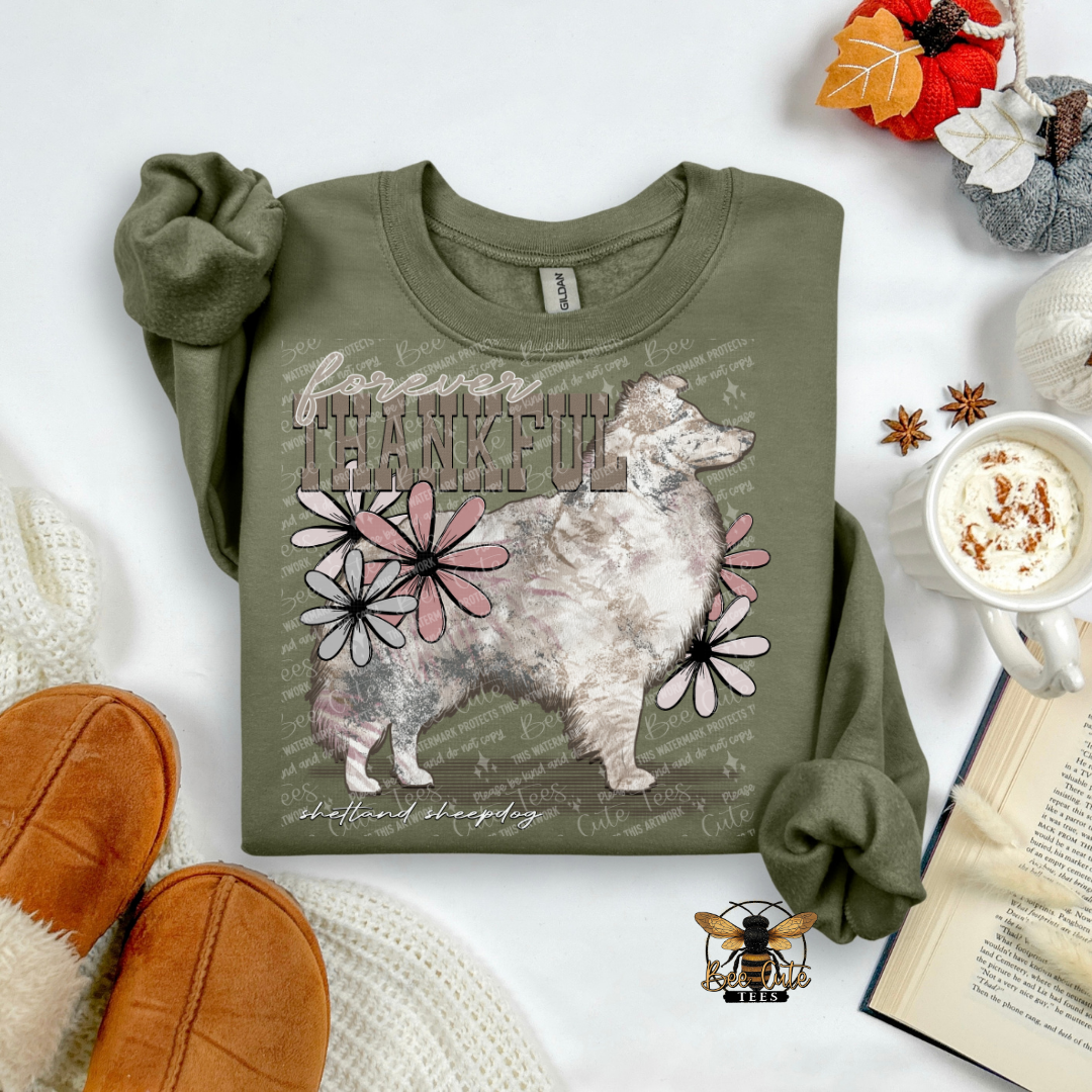 Forever Thankful Shetland Sheepdog