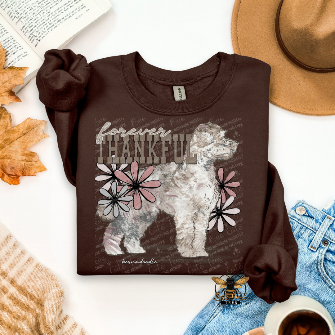 Forever Thankful Bernadoodle