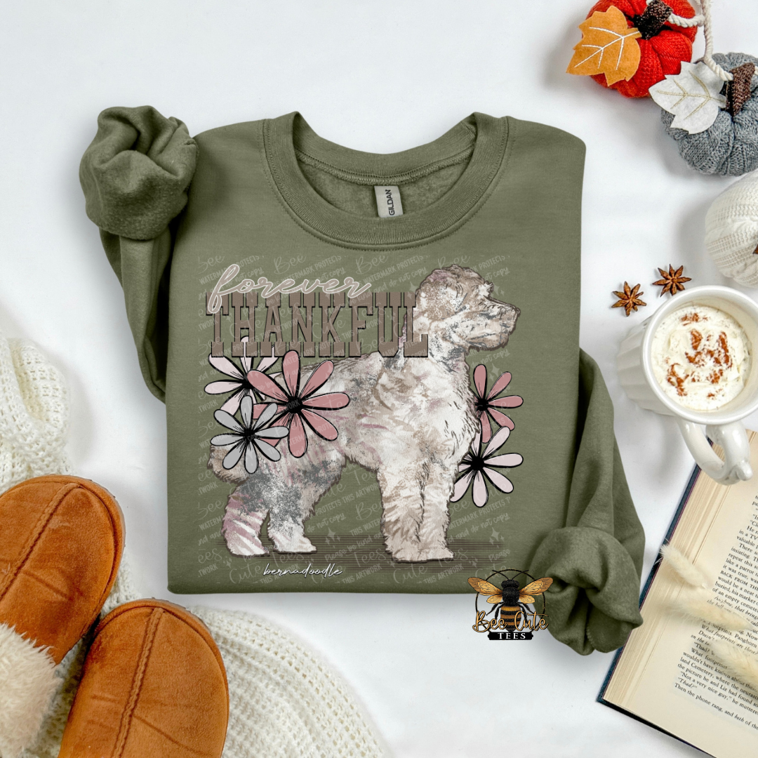 Forever Thankful Bernadoodle